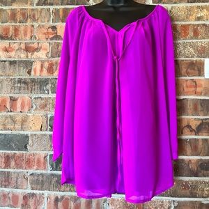 Zury Purple Long Sleeve Sheer Top Women’s Size: S/M